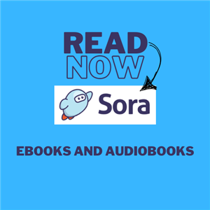 Link to Sora